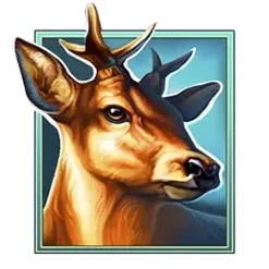 icon 2