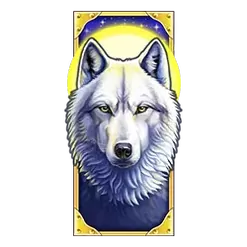 icon 9