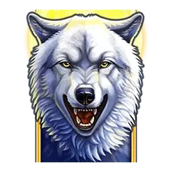 icon 9
