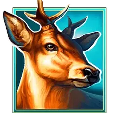 icon 2