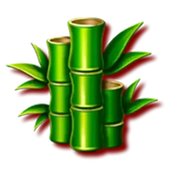 icon 6