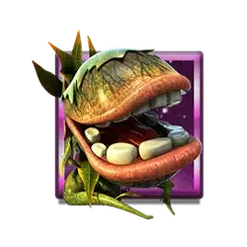 icon 2