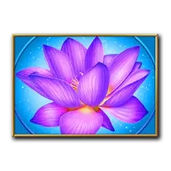 icon 4