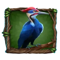 icon 4