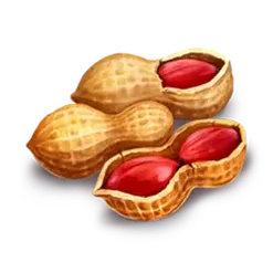 icon 5