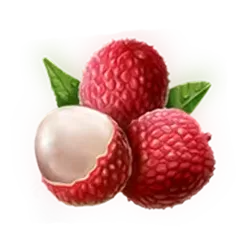 icon 3