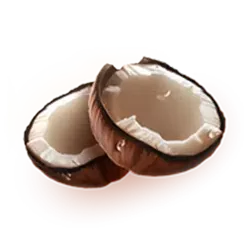 icon 4
