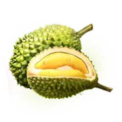 icon 6