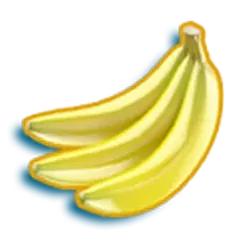 icon 9