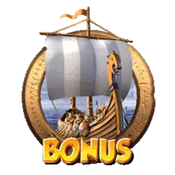 icon 13