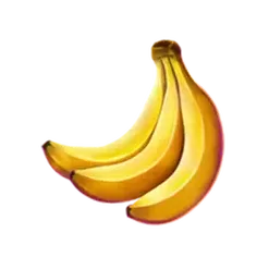 icon 4