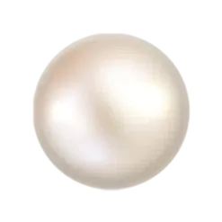 icon 13