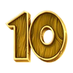 icon 10