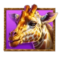 icon 5