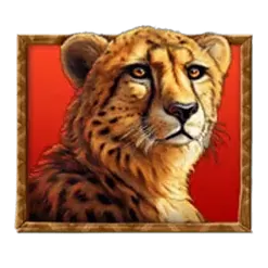 icon 2