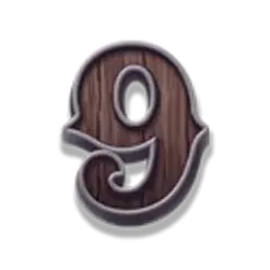 icon 13
