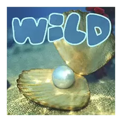 icon 10