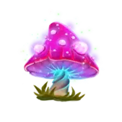 icon 6