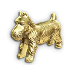 icon 4