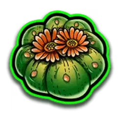 icon 4