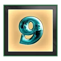 icon 10