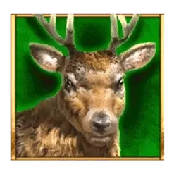 icon 4