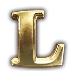 icon 13