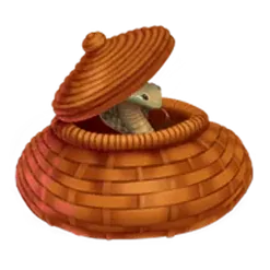icon 6
