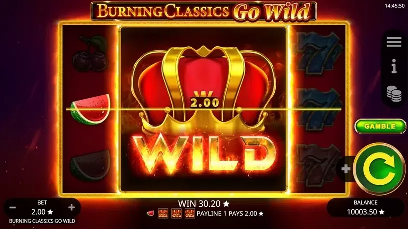 Burning Classics Go Wild slot screenshot 5