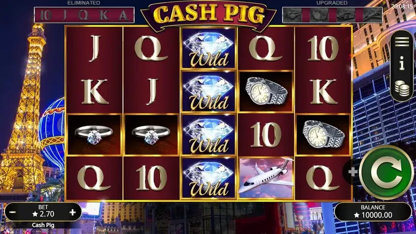 Cash Pig slot screenshot 1