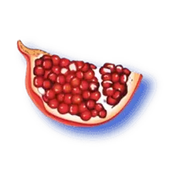 icon 5