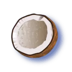 icon 2