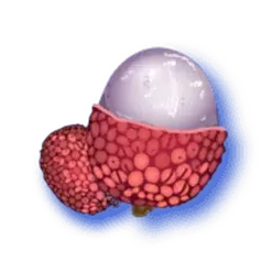 icon 6