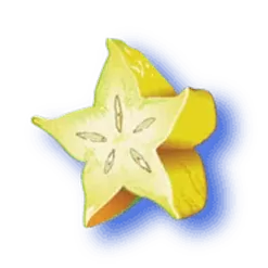 icon 4