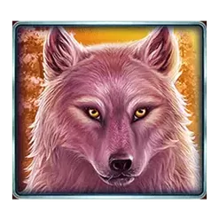 icon 4