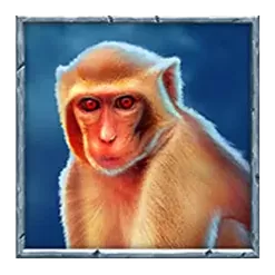 icon 6