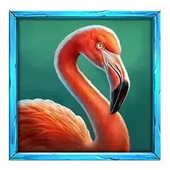 icon 5