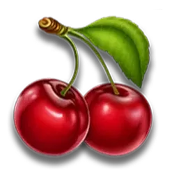 icon 9