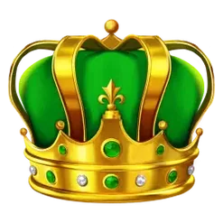 icon 4