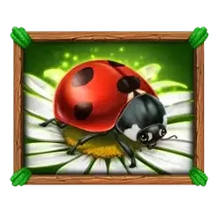 icon 4
