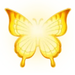 icon 11