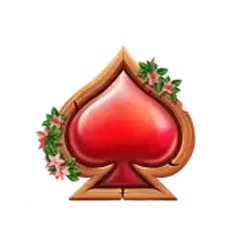 icon 6