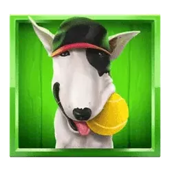 icon 3