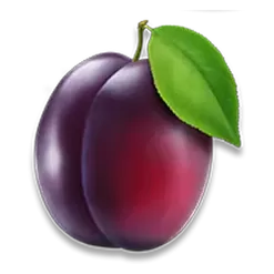 icon 6