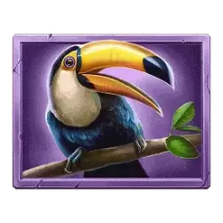 icon 5