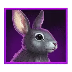 icon 5