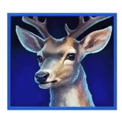 icon 4