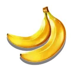 icon 5