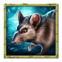icon 5