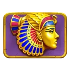 icon 6
